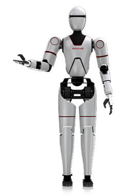 人形机器人Human.X